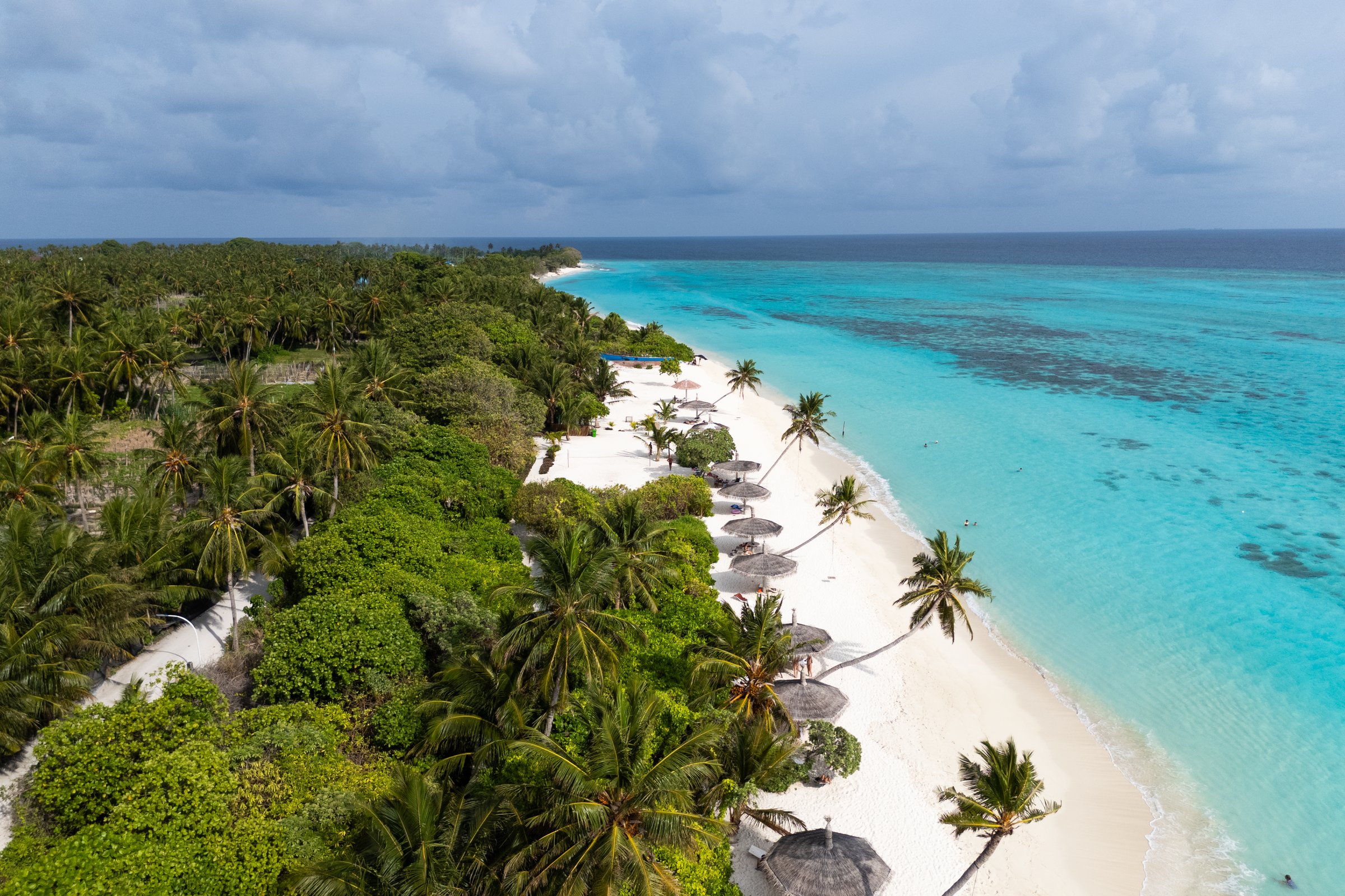 La costa de Thoddoo desde el aire, con palmeras y sombrillas a lo largo de la arena